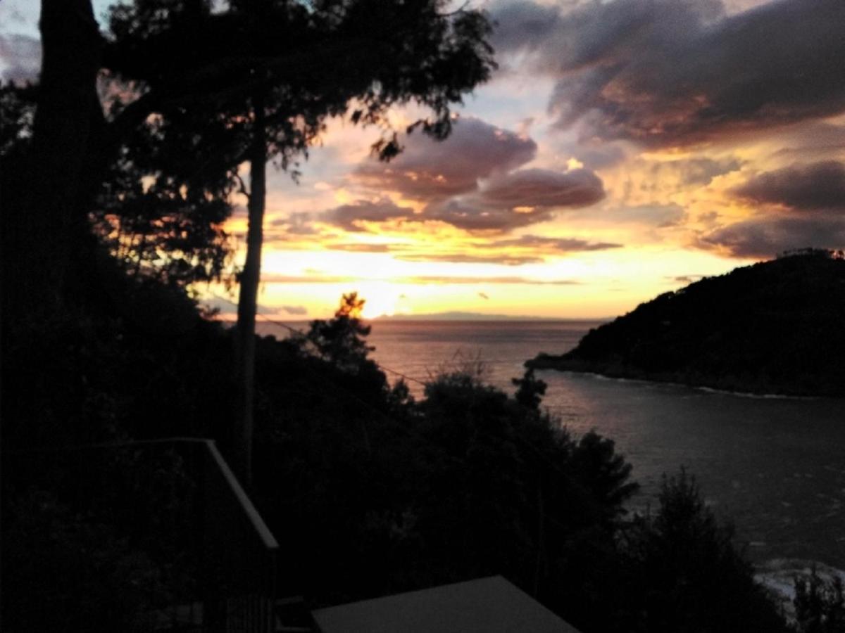 Villa Mimosa Splendida Vista Mare Bonassola Exteriér fotografie