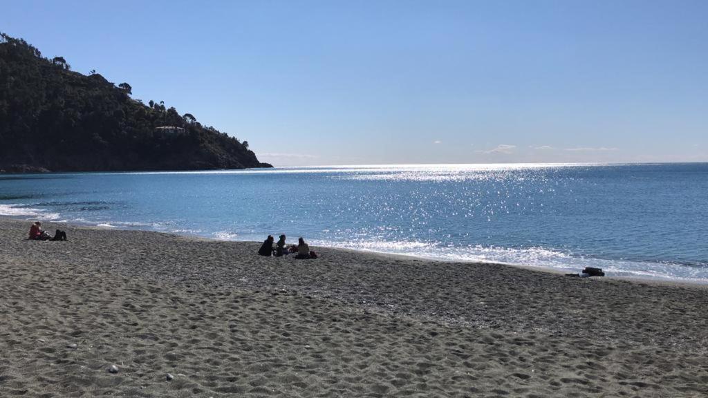 Villa Mimosa Splendida Vista Mare Bonassola Exteriér fotografie