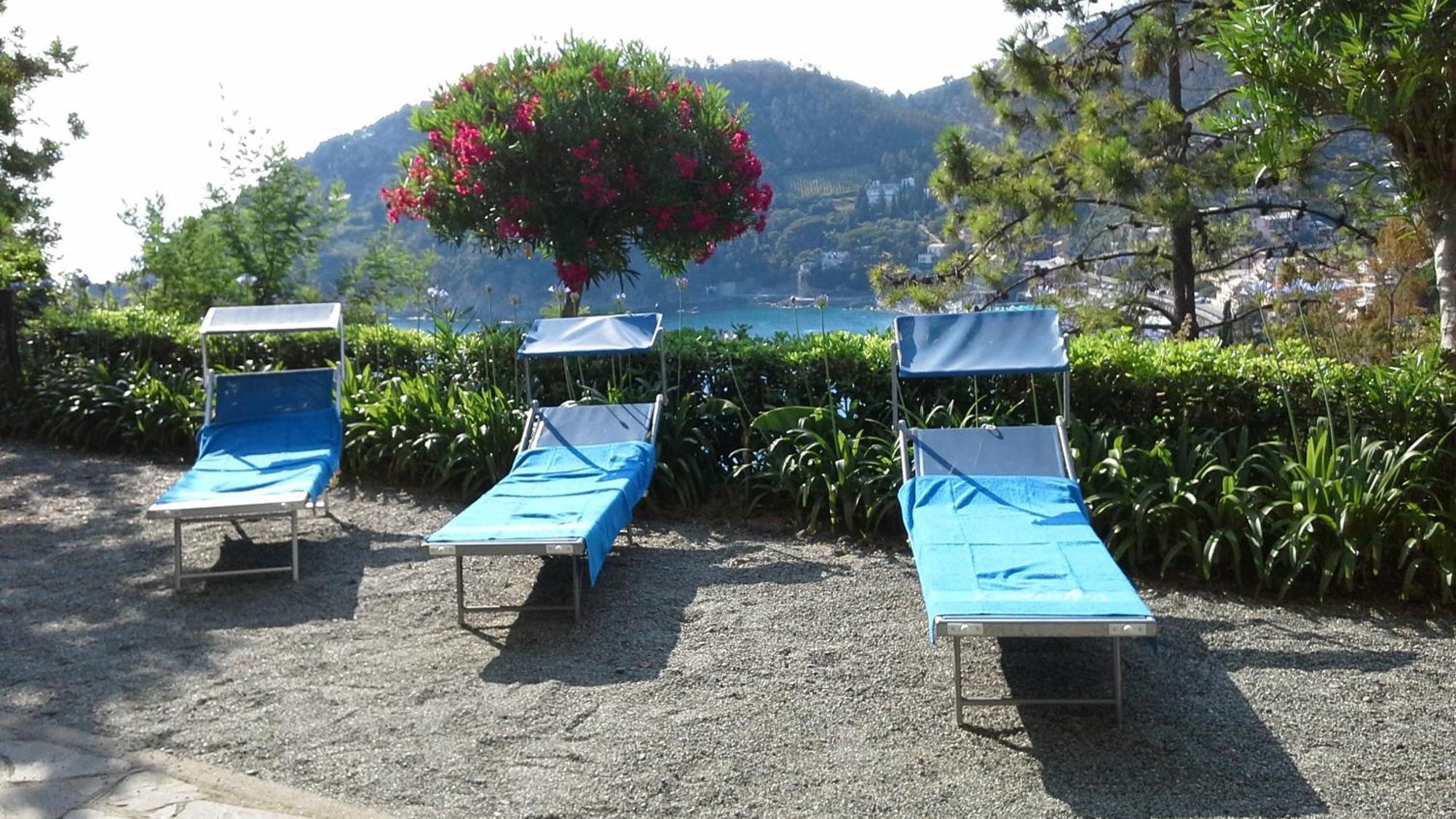 Villa Mimosa Splendida Vista Mare Bonassola Exteriér fotografie