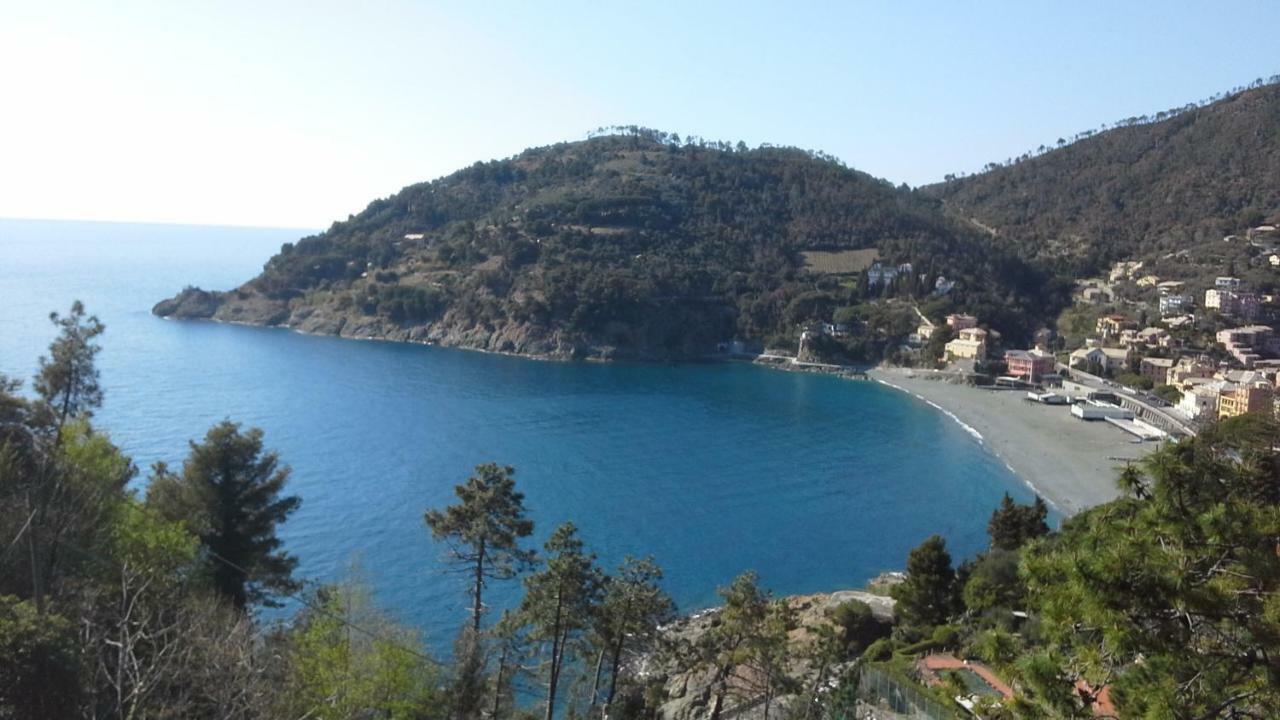 Villa Mimosa Splendida Vista Mare Bonassola Exteriér fotografie